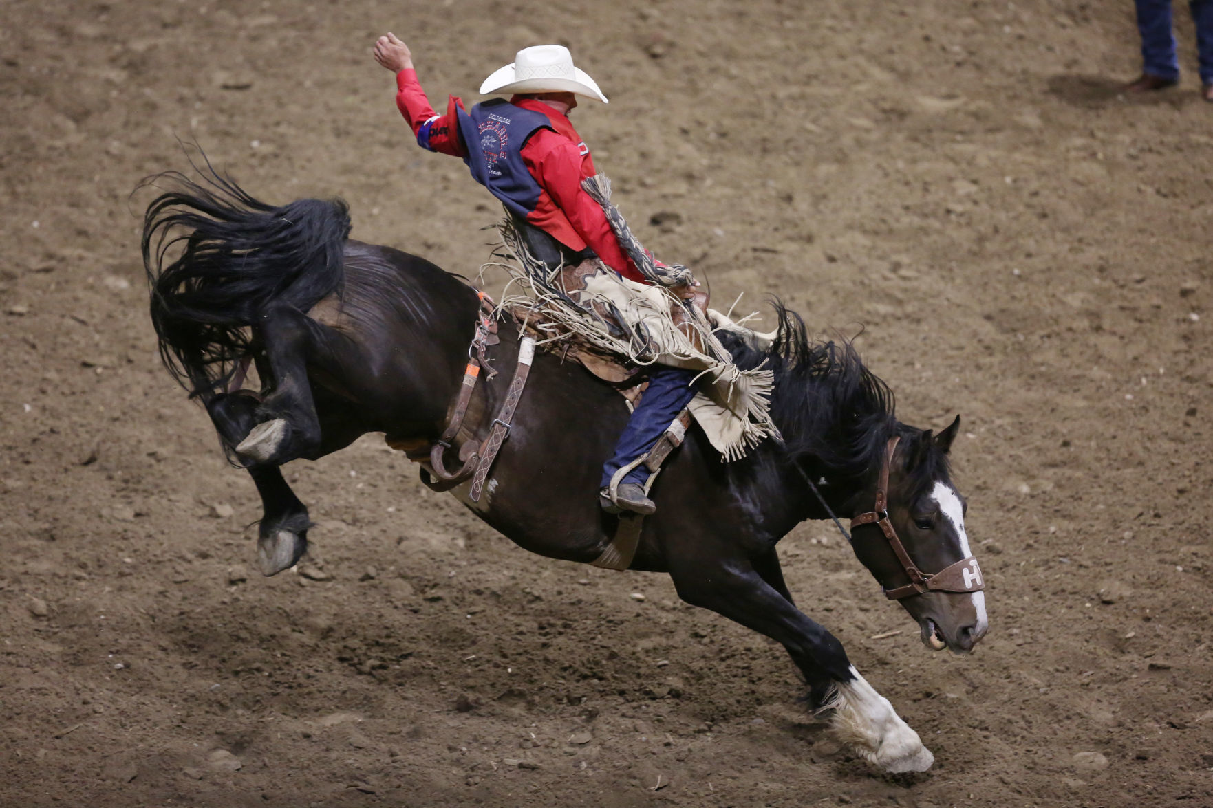 CNFR